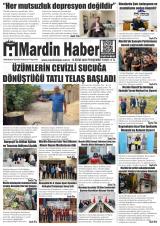MARDİN HABER