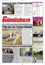 GÜMÜŞKOZA